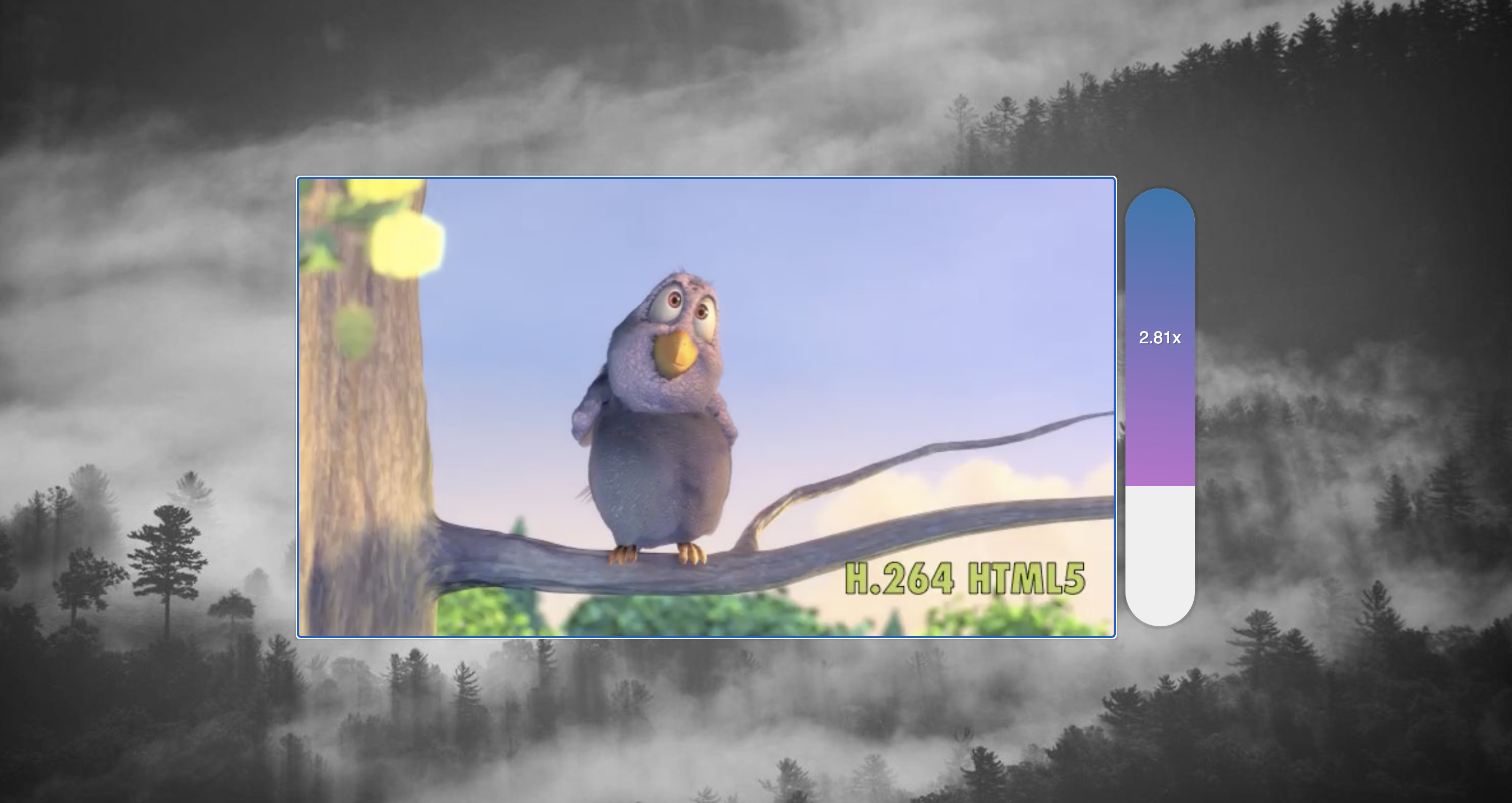 video speed controller